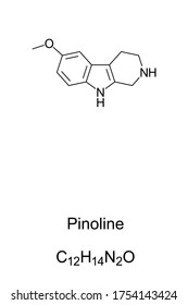 Pinoline, Skelettformel und Molekularstruktur. Ein Methoxy-Tryptolin, das während der Metabolisierung von Melatonin in der Analdrüse hergestellt wird. Strukturformel. Illustration. Vektorgrafik.