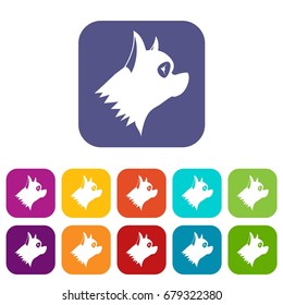 Pinscher dog icons set vector illustration in flat style In colors red, blue, green and other