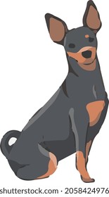 pinscher dog illustration vector art