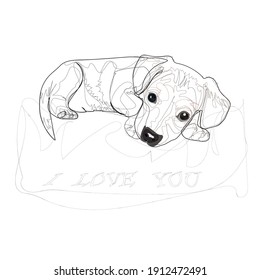 pinscher, sketch, silhouette, line drawing, postcard, cute little dog, pet, I'm ready to love you always, always loving puppy, affectionate dog eyes, protective of the owner, funny
