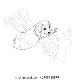 Pinscher-baby sketch, companion dog, small and shy, cute puppy, vector, for postcards, for printing on stickers, funny pet, with a fearful look