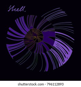 Pinstripe sea shell. Curl mollusc.  Spiral seashell. Black and white nautilus  element for print. Natural cosmetics bathcare logo. Dead sea salt