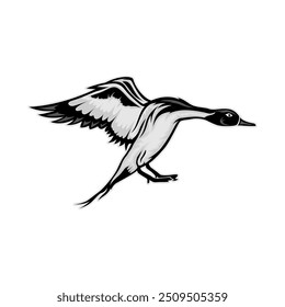 pintail pato caçada ilustração logotipo vetor imagem t shirt