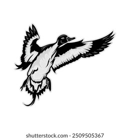 pintail pato caçada ilustração logotipo vetor imagem t shirt