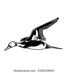 pintail pato caçada ilustração logotipo vetor imagem t shirt