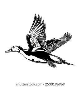 pintail pato caçada ilustração logotipo vetor imagem t shirt