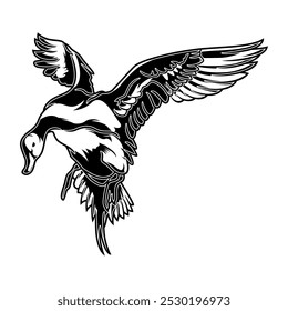 pintail pato caçada ilustração logotipo vetor imagem t shirt