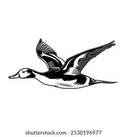 Pintail Pato Caza Ilustración Logotipo Vector Imagen Camiseta