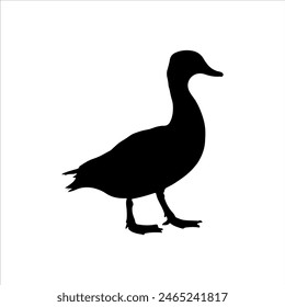 Pintail duck silhouette isolated on white background. Duck icon vector illustration design.