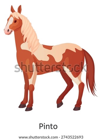 Pinto horse breed. Equine ranch animal icon