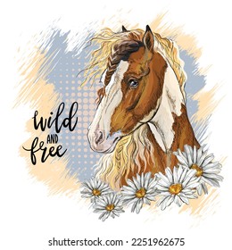 Pinto horse with a camomiles and lettering wild and free. Hand drawn style. Vector illustration isolated on white background. For t-shirt composition, print, design, sticker, sublimation, and decor