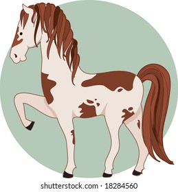 A pinto horse standing with one front leg up