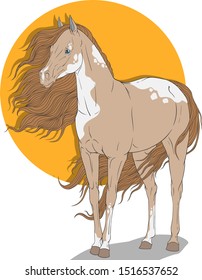Pinto with a long mane. Against the background of the sun