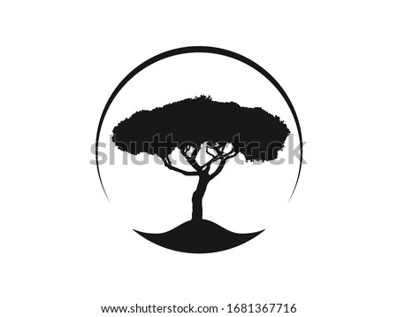 Similar – Image, Stock Photo pine Stone pine Tree