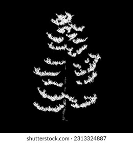 pinus strobus hand drawing vector isolated on black background.
