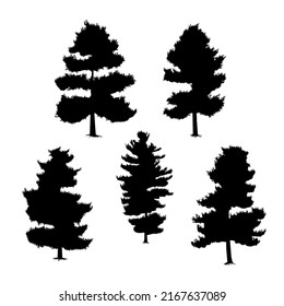 pinus strobus silhouette hand drawing vector illustration isolated on white background	