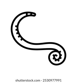 Vector de icono de línea de parásito de oxiuros. signo de parásito de oxiuros. símbolo de contorno aislado ilustración negra