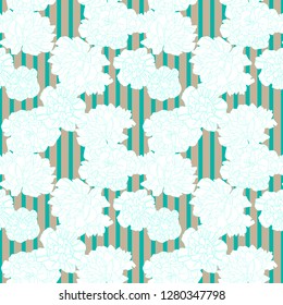Pion flower vector