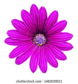 Pion low poly. Beautiful fragrant flower. Wonderful Flower. Elements for label design. Pion in triangulation technique. 