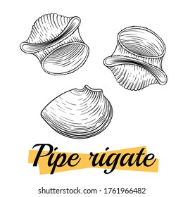 Pipe rigate Italian pasta, isolated on white. Group of pipe rigate close-up. Pasta italiana package design element. Pasta secco for cook or recipe book. Simple quick side dish for vegetarian. Vector.