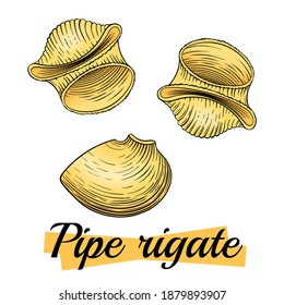 Pipe rigate Italian pasta, isolated on white. Group of pipe rigate close-up. Pasta italiana package design element. Pasta secco for cook or recipe book. Simple quick side dish, in color. Vector.