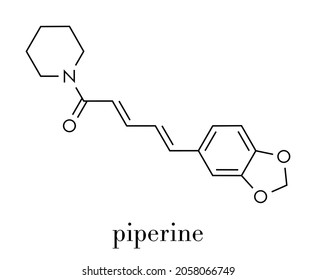 Piperine Black Pepper Molecule. Responsible For The Pungency Of Black Pepper And Long Pepper. Skeletal Formula.