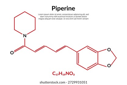 Piperine, organic compound, molecular structure formula, suitable for education or chemistry science content. Vector illustration