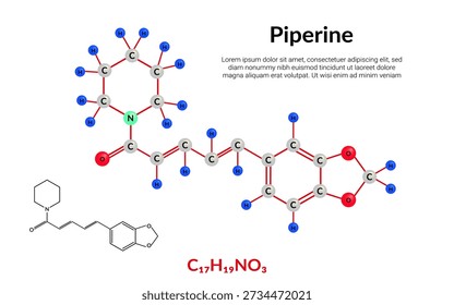 Piperin, organische Verbindung, Molekularstrukturformel, Ball-and-Stick-Modell, geeignet für Ausbildung oder Chemie-Wissenschaftsinhalte. Vektorgrafik