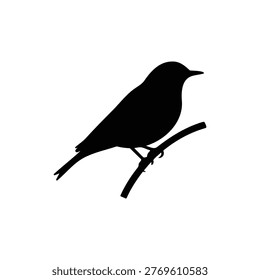 pipit bird silhouette icon vector flat design.
