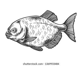 Piranha fish animal sketch engraving vector illustration. Scratch board style imitation. Black and white hand drawn image.