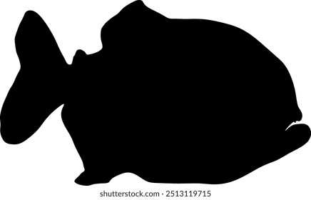 piranha, peixe, predador, animal, silhueta, vetor, ilustração, em preto e branco, silhueta