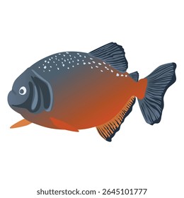 piranha fish with separate white background vector format
