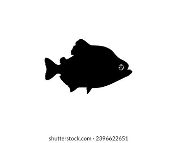 Piranha Fish Silhouette, can use for Logo Gram, Website, Art Illustration, Pictogram, Icon or Graphic Design Element. Vector Illustration