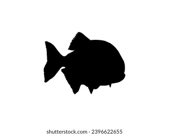 Piranha Fish Silhouette, can use for Logo Gram, Website, Art Illustration, Pictogram, Icon or Graphic Design Element. Vector Illustration