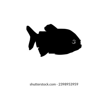 Piranha Fish Silhouette, can use for Logo Gram, Website, Art Illustration, Pictogram, Icon or Graphic Design Element. Vector Illustration