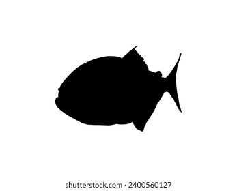 Piranha Fish Silhouette, can use for Logo Gram, Website, Art Illustration, Pictogram, Icon or Graphic Design Element. Vector Illustration 