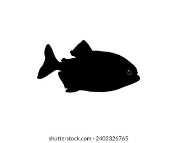 Piranha Fish Silhouette, can use for Logo Gram, Website, Art Illustration, Pictogram, Icon or Graphic Design Element. Vector Illustration 