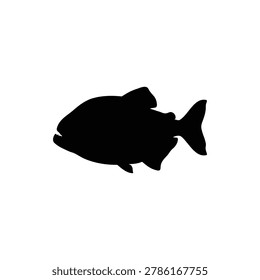 Piranha fish silhouette icon vector flat design.