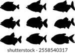 Piranha fish silhouettes vector illustration set