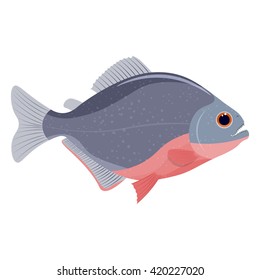 piranha fish vector illustration isolated on a white background