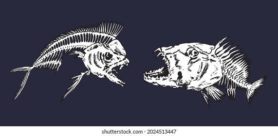 Piranha fishes skeleton, side view. Ink black and white drawing illustration