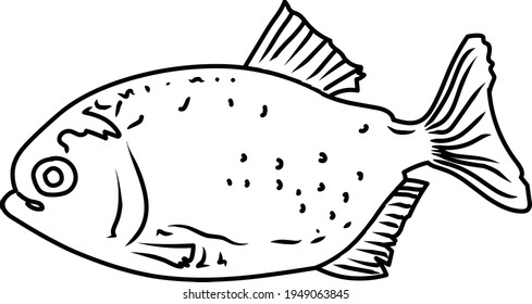 Piranha line art vector ,  aggressive fish line art isolatedi n white background