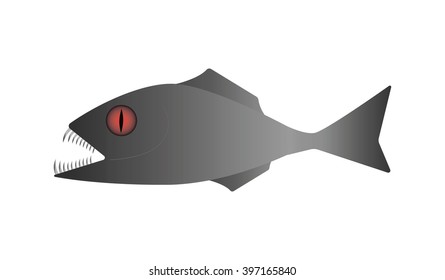 Piranha on a white background.