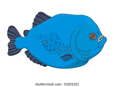 Similar Images, Stock Photos & Vectors Of Piranha Piraya Cartoon Vector 