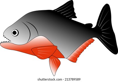 Piranha vector illustration
