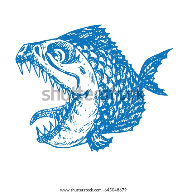 Piranhas Fish Profile Open Mouth Sharp Stock Vector (Royalty Free ...