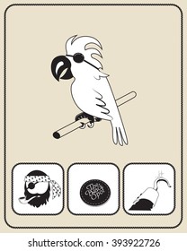 Pirate accessories flat icons collection. Parrot with a piracy bandage. White  cockatoo. Pirate head symbol. The black spot. ?ne-armed pirate. Artificial limb with hook. 