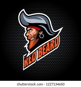 Pirate Head from side. Can be used for club or team logo. Vector graphic.