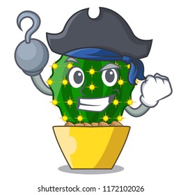 Pirate mammillaria cactus planted in a cartoon pot