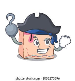 Pirate skin character cartoon style